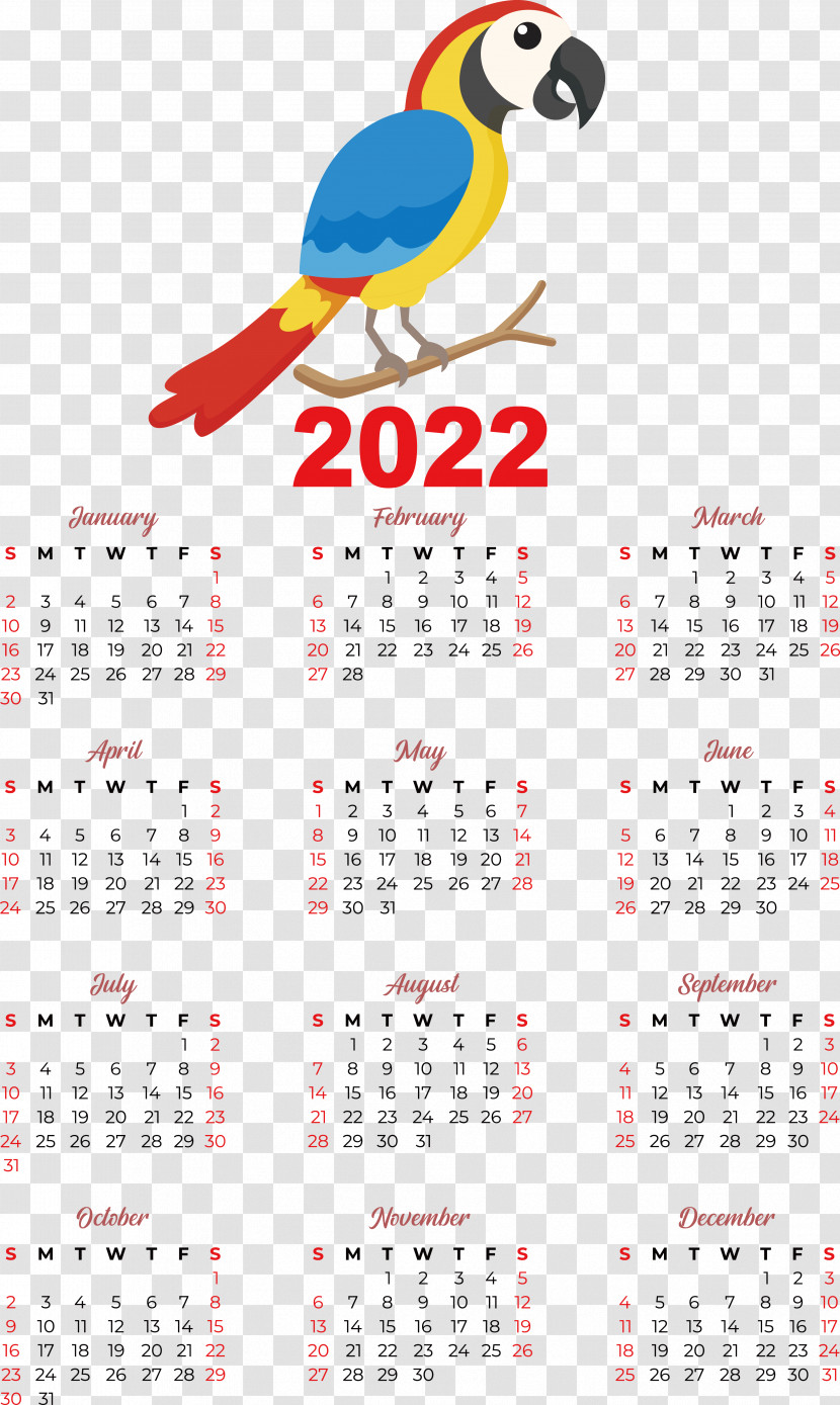 Calendar Line Font Beak Meter Transparent PNG