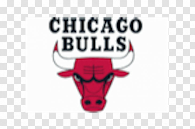 Chicago Bulls Denver Nuggets NBA Basketball Sport - Text - Nba Transparent PNG