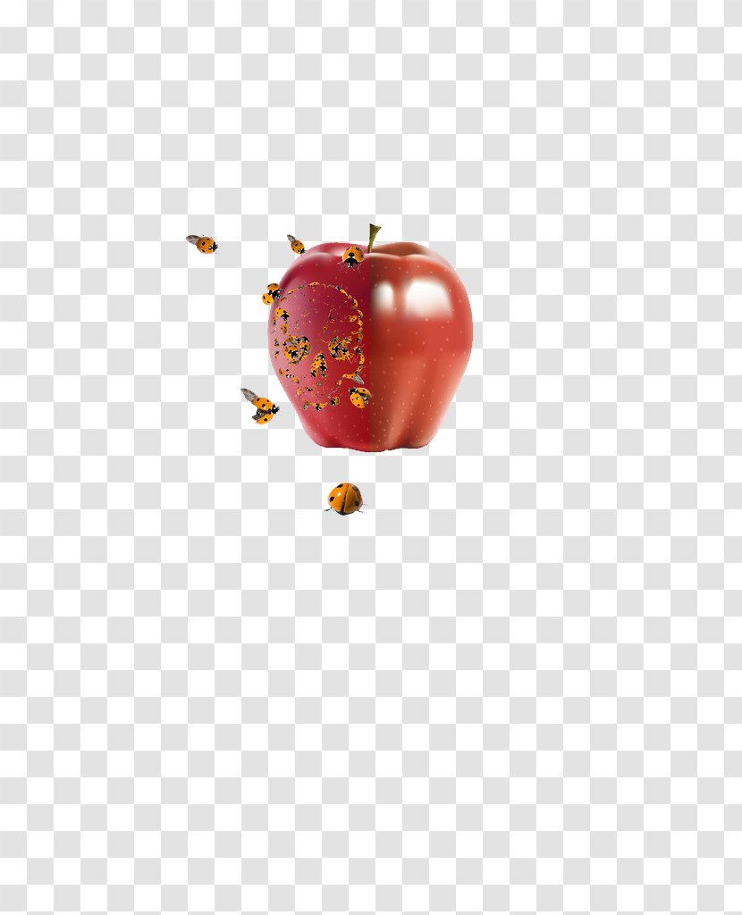 Bee Apple Download - Computer Graphics - Apples Transparent PNG