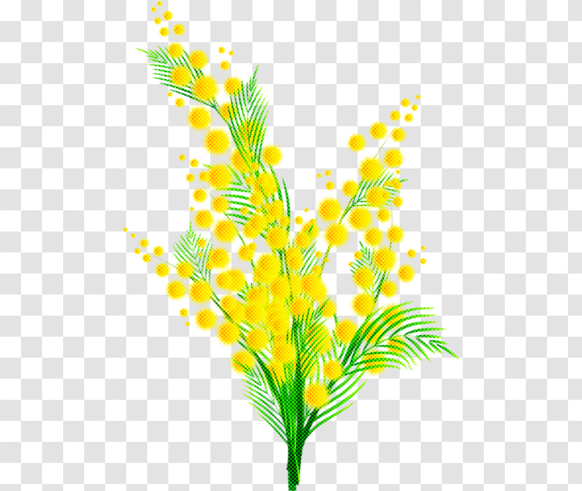 Yellow Leaf Plant Flower Grass Transparent PNG