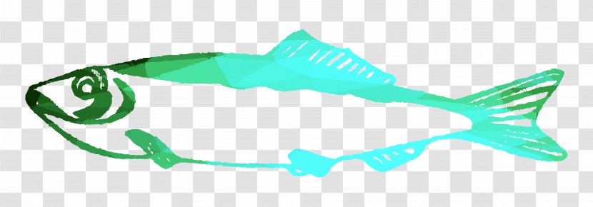 Marine Biology Mammal Cartilaginous Fishes Fin Product Design - Turquoise - Leaf Transparent PNG