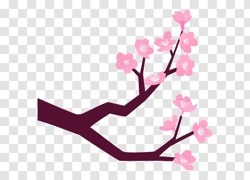 Cherry Blossom Illustration Flower Design Clip Art - Plants - Floral Transparent PNG