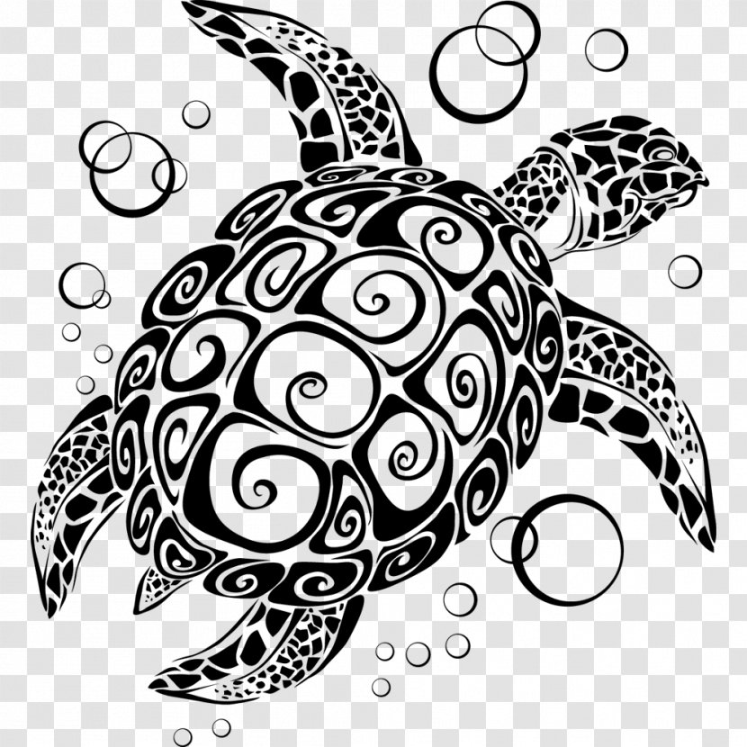 Abziehtattoo Turtle Polynesia Amazon.com - Fish - Watercolour Animals Transparent PNG