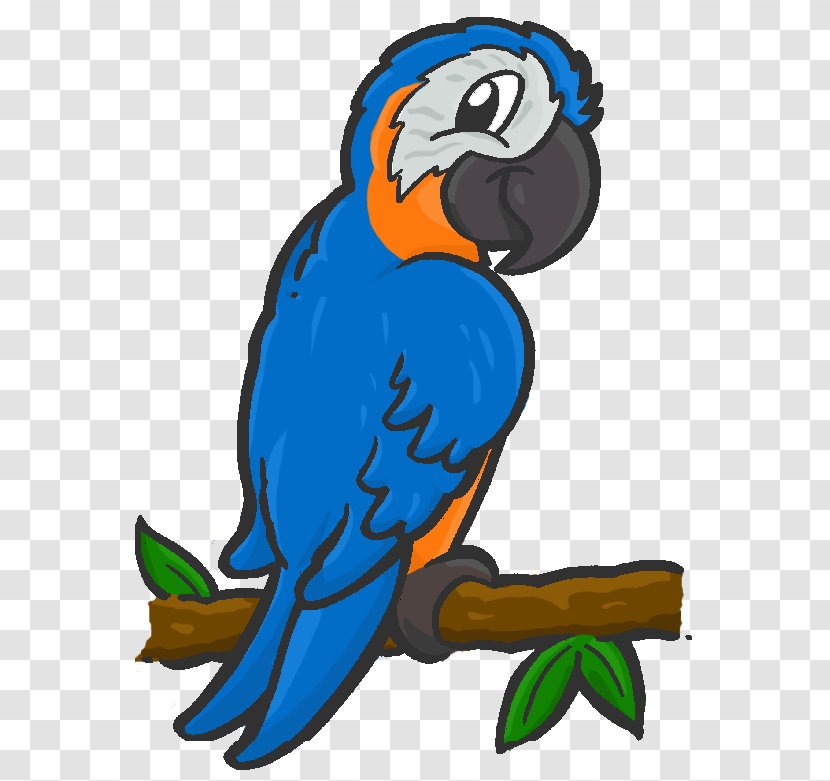 Macaw Parrot Clip Art Illustration Beak - Blue - BLUE Transparent PNG
