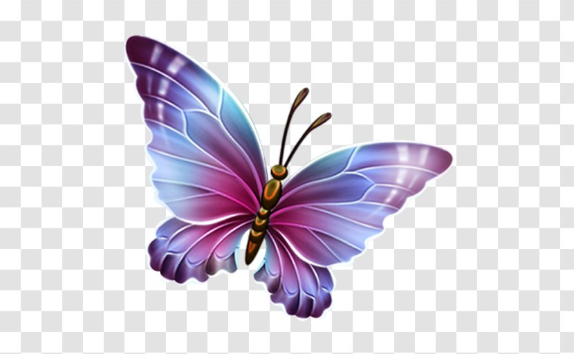 Glasswing Butterfly Clip Art Monarch Transparent PNG