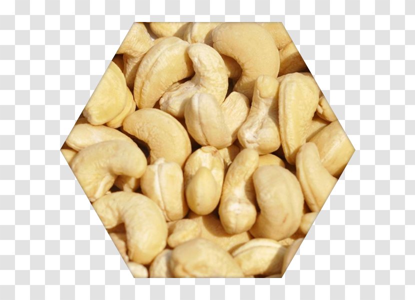 Cashew Panruti Nut Food Dried Fruit - Roasting - Almond Transparent PNG