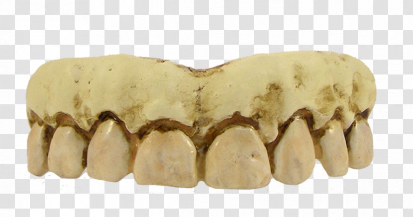 Human Tooth Costume Skeleton - Fake Smile Transparent PNG