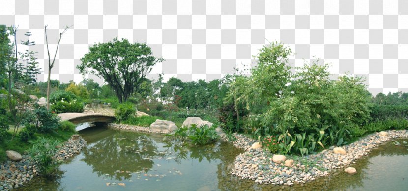 Pond Garden Landscape Architecture - Grass - Design Small Lake Transparent PNG