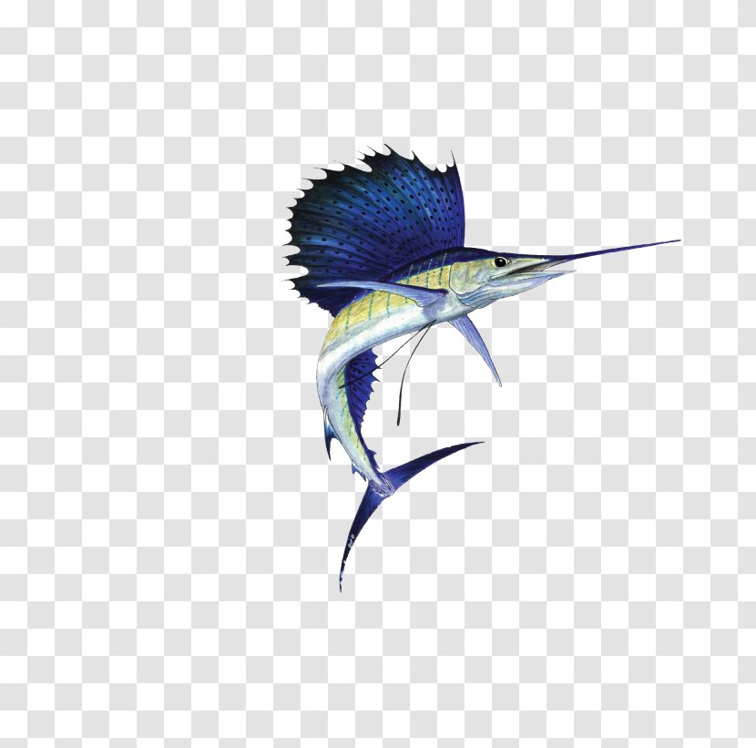 Insect Wing Feather Beak Pollinator - Mahi-mahi Transparent PNG