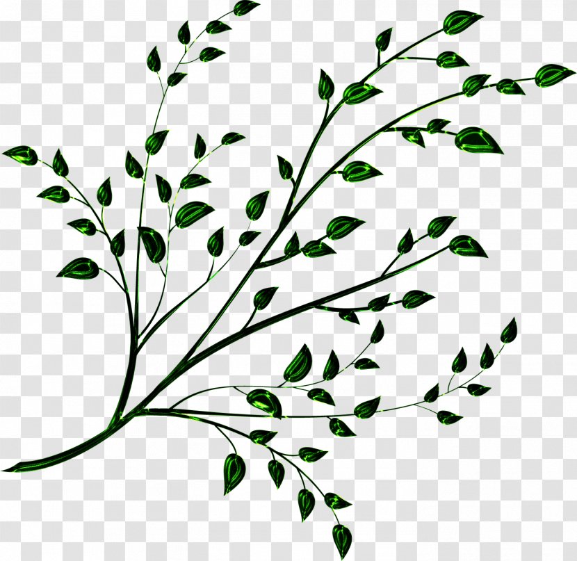Plant Stem Tree Twig Leaf Flora - Grass - Branches Transparent PNG