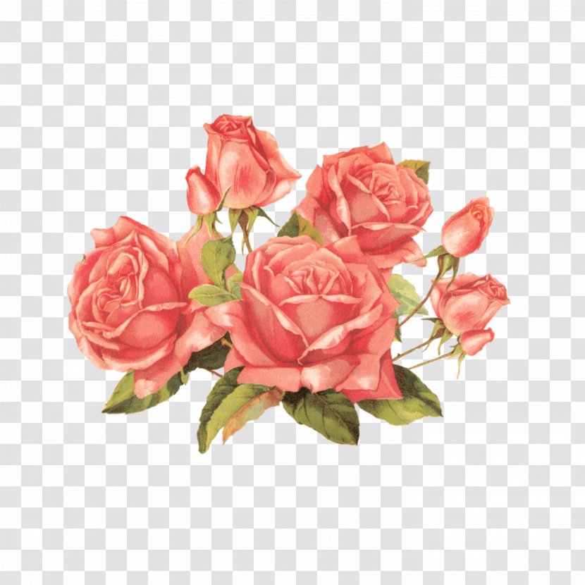 Rose Clip Art Vintage Clothing Flower Antique - Floral Design Transparent PNG