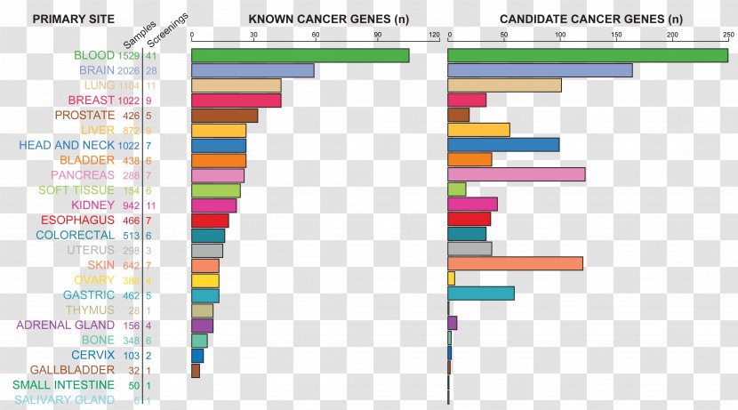 Relapse Network Of Cancer Genes Pancreatic Cure - Screening - Cell Germ Map Transparent PNG