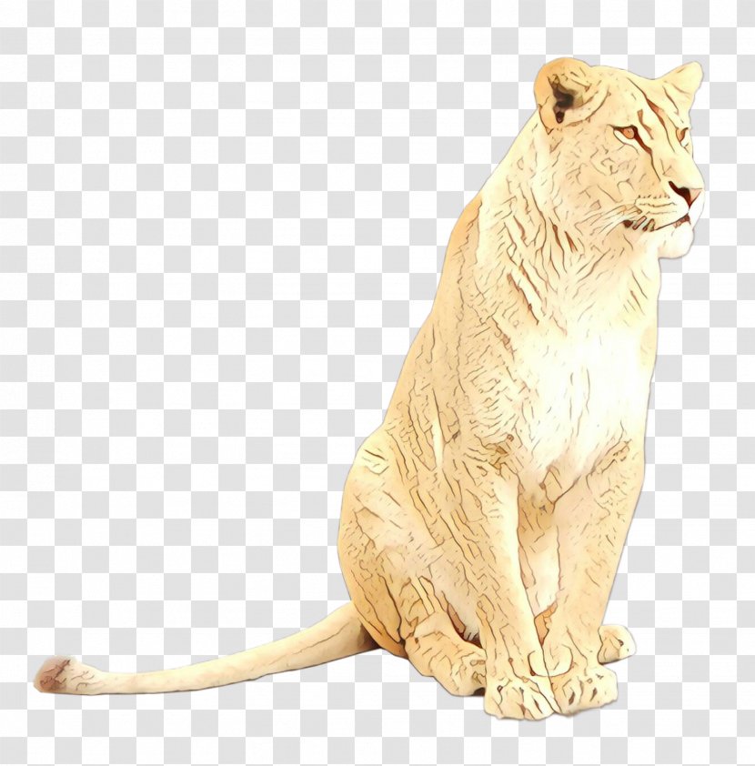 Lion Whiskers Big Cat Terrestrial Animal - Roar Transparent PNG