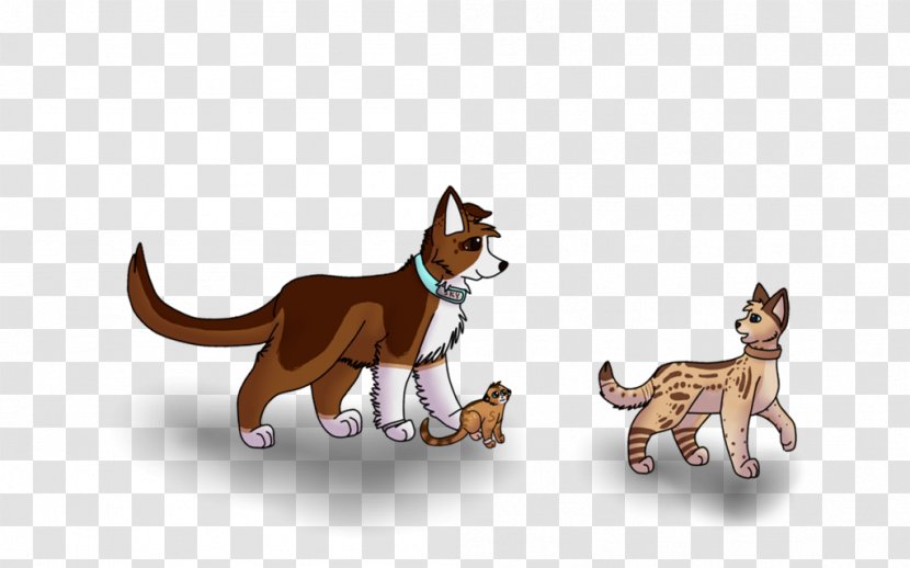 Cat Norwegian Lundehund Animal Mammal Puppy - Dog Breed - Imogen Transparent PNG