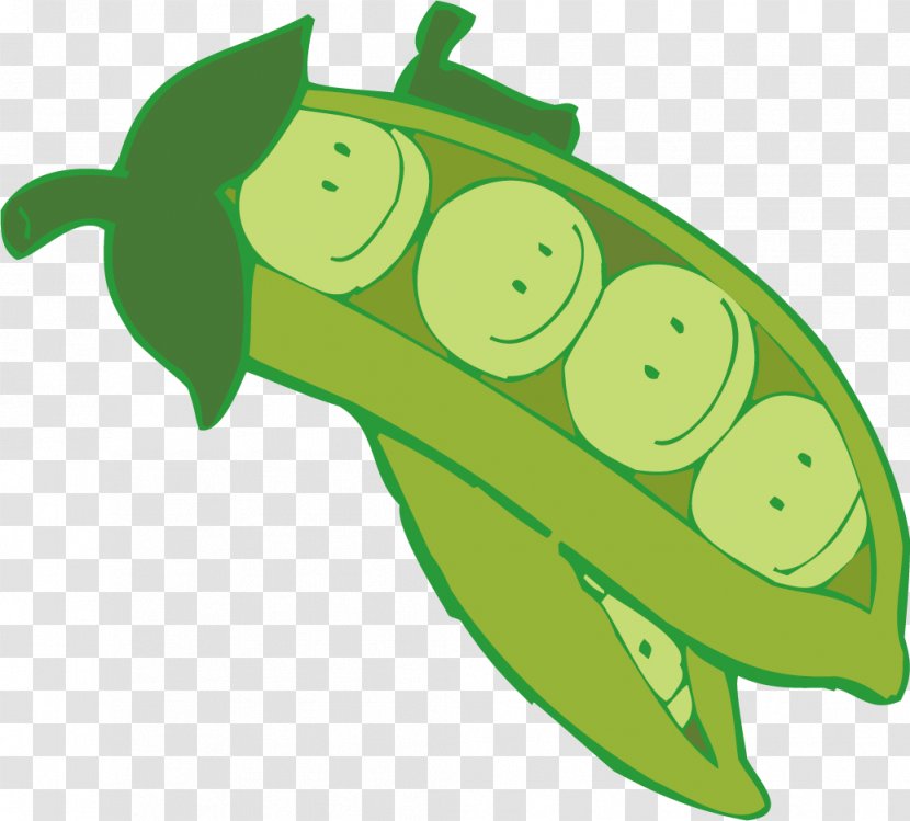 Fruit Pea Cartoon Bean Transparent PNG