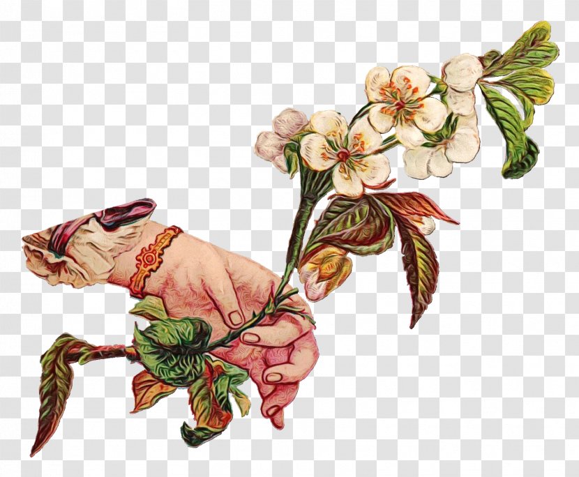 Floral Design Painting Cut Flowers Linguistics English Literature - Perennial Plant Transparent PNG