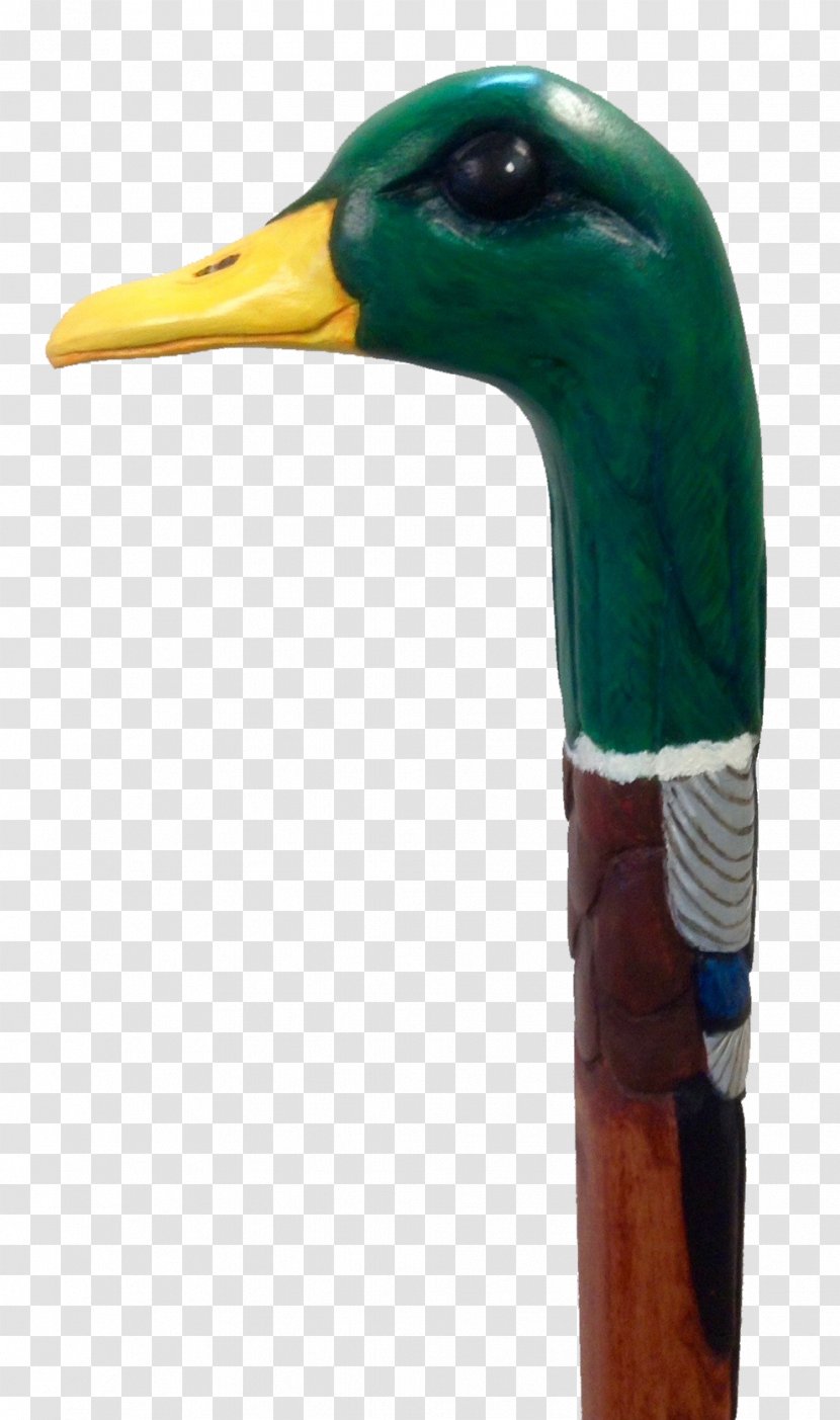 Mallard Goose Duck Art Teal Transparent PNG