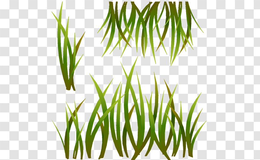 Grasses Polycount Furnace Leaf Plant Stem - Commodity - Triangle Debris Transparent PNG