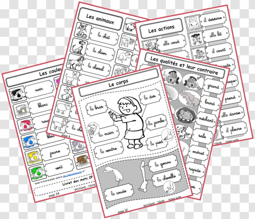 École Maternelle Cours Préparatoire Dictionary Word Lexicon - Area Transparent PNG