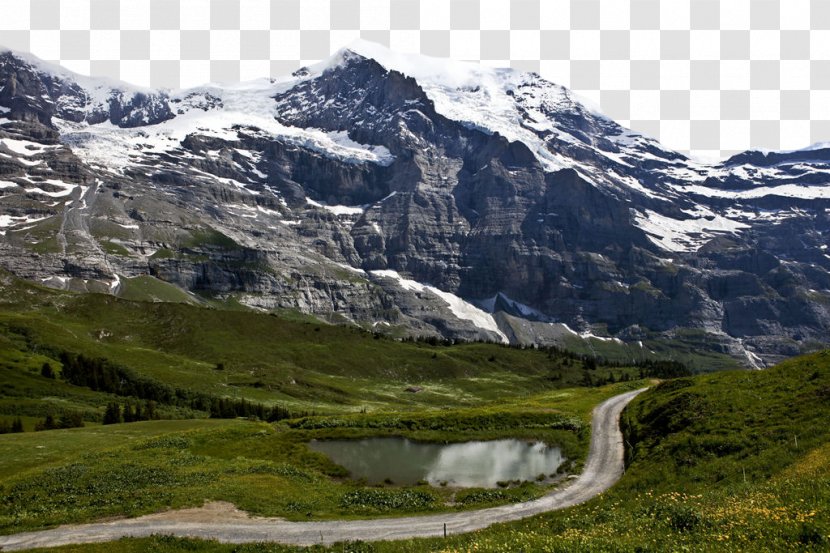 Jungfrau Kleine Scheidegg Mount Scenery Tourist Attraction - Fjord - 26 Transparent PNG
