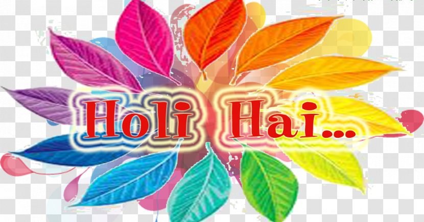 Holi Desktop Wallpaper Wish - Leaf Transparent PNG