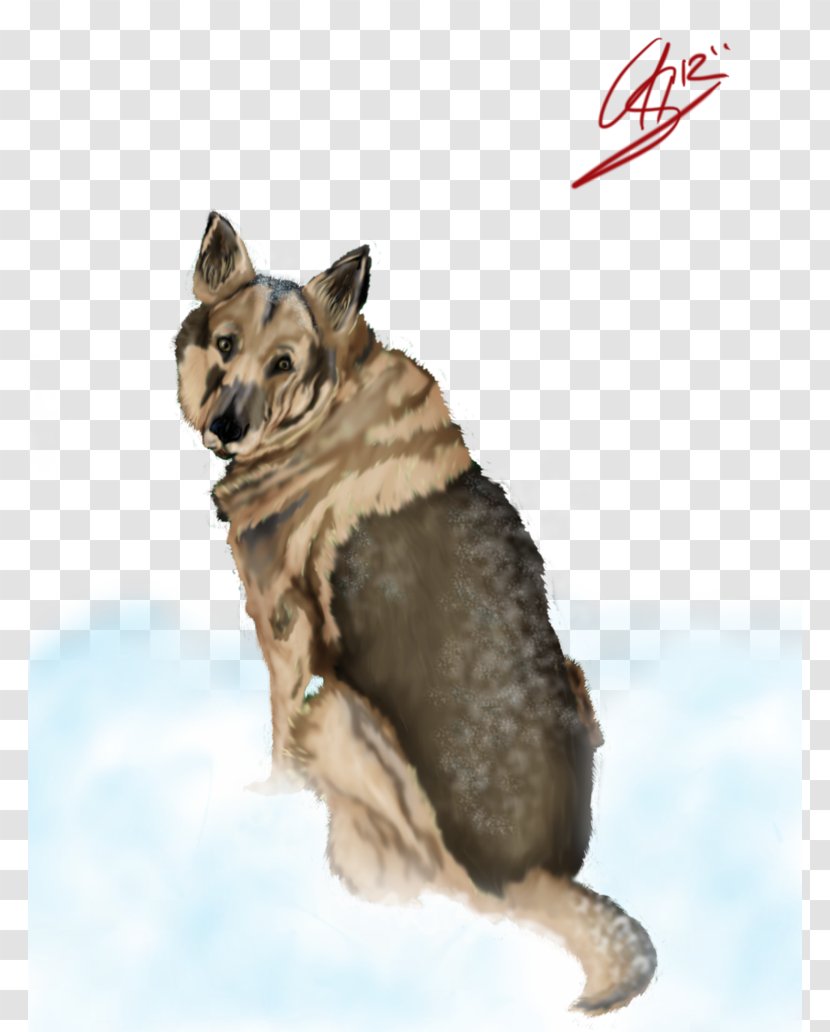 Saarloos Wolfdog Czechoslovakian Norwegian Elkhound Dog Breed - Chernobyl Tragedy Remembrance Day Transparent PNG