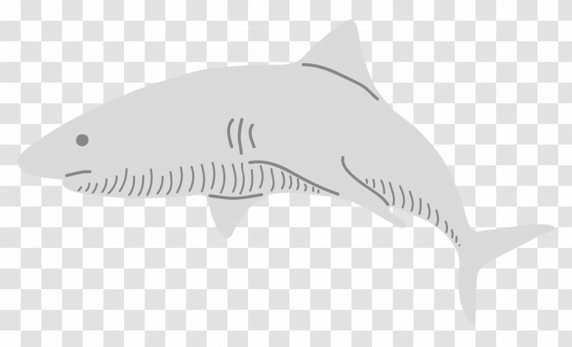 Shark White Pattern - Cartilaginous Fish - Decorative Transparent PNG