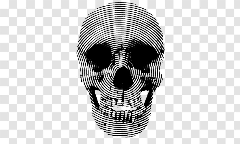 Skull Jaw White Font - Skeleton - Laptop Illustration Transparent PNG