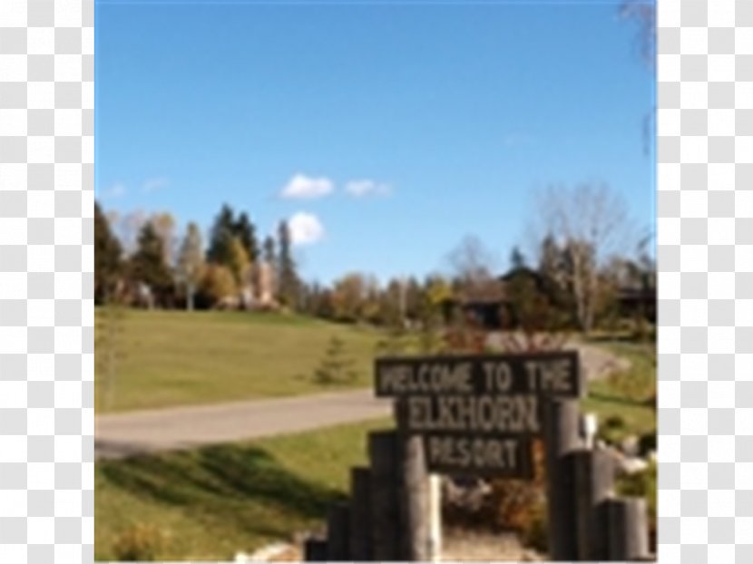 Real Property Lawn Cemetery Land Lot - Landscape Transparent PNG