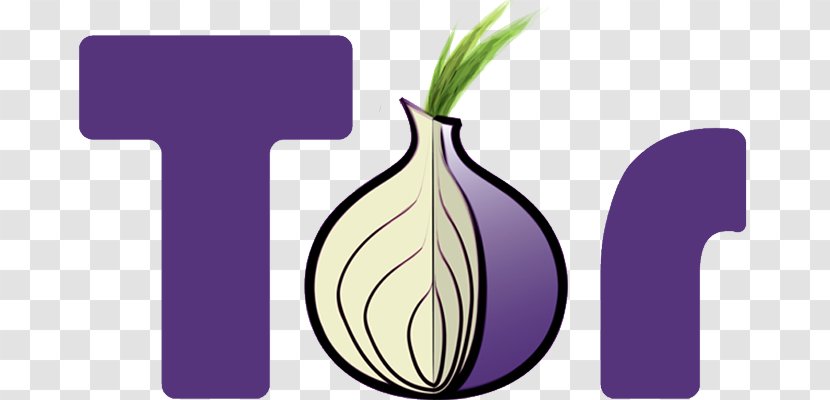 Tor .onion Onion Routing Anonymous Web Browsing Anonymity - Browser - Intelligent Monitoring Transparent PNG