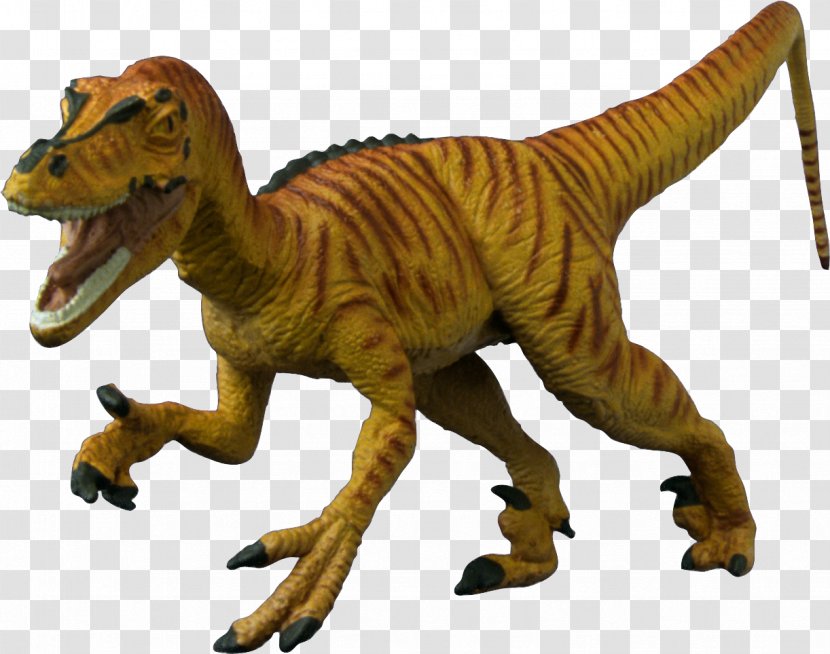 Tyrannosaurus Velociraptor Dinosaur Carnotaurus - Jurassic Park Transparent PNG