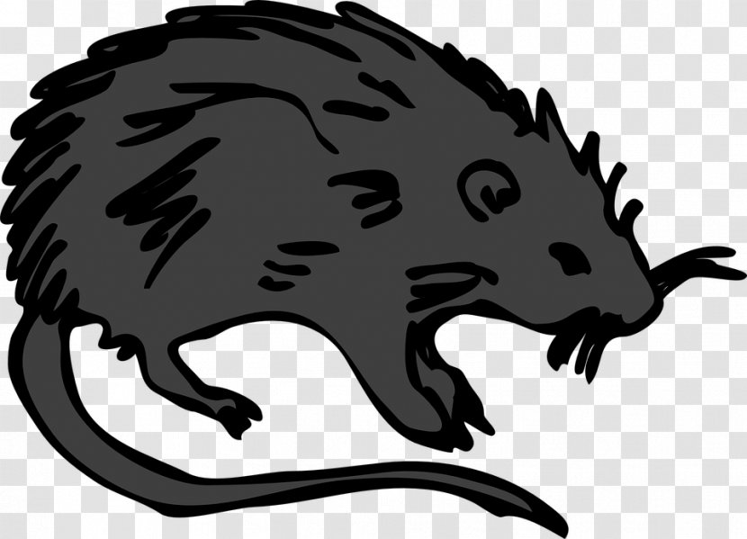 Black Death Rat Middle Ages Clip Art - Flea - Cliparts Transparent PNG