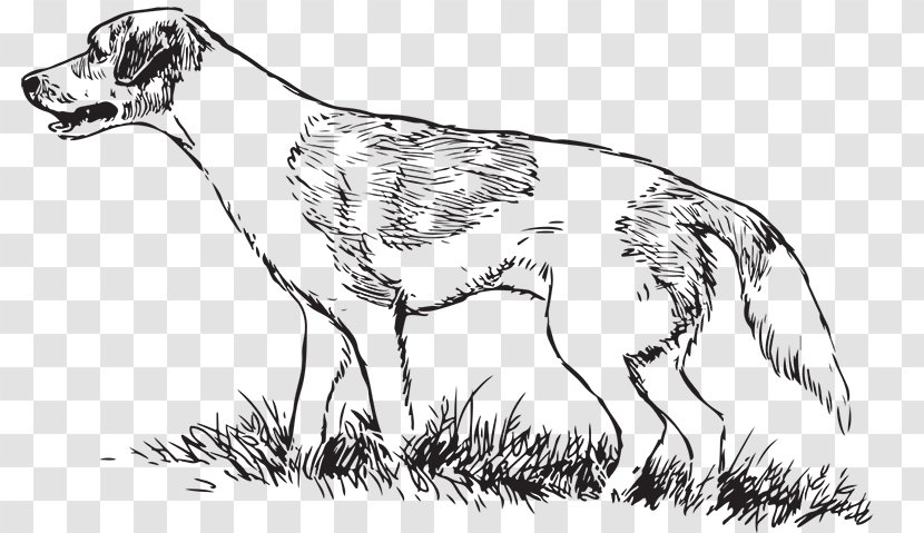 Dog Breed Greyhound Hunting Drawing - Carnivoran - Boar Transparent PNG