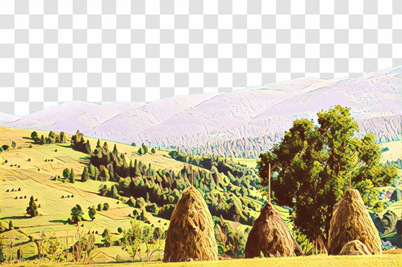 Natural Landscape Hill Tree Biome Ecoregion - Plain Grassland Transparent PNG