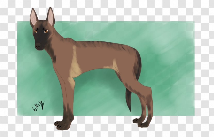 Dog Breed Mexican Hairless Italian Greyhound - Malinois Transparent PNG