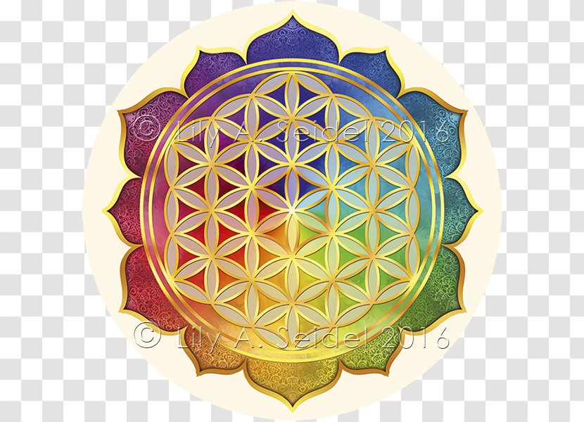 Sacred Geometry Overlapping Circles Grid Nelumbo Nucifera Decal - Symmetry - Flower Transparent PNG