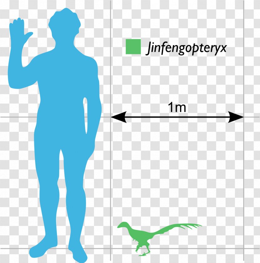 Microraptor Anchiornis Epidexipteryx Sinosauropteryx Theropods - Watercolor - Dinosaur Transparent PNG