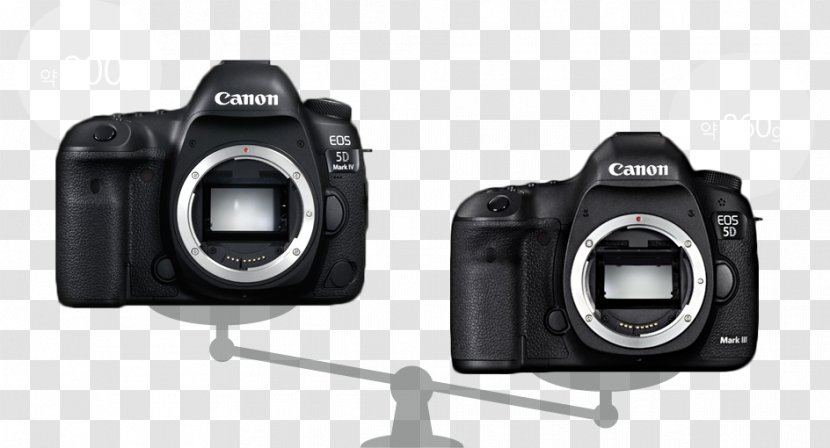 Canon EOS 5D Mark III Digital SLR Photography EF-S Lens Mount - 5d Transparent PNG