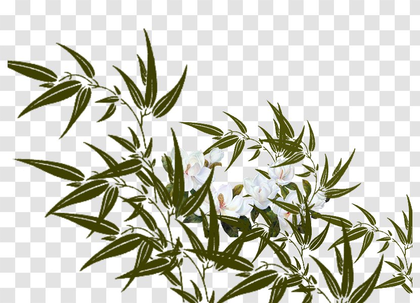 Bamboo Bamboe Flower Download - Hand-painted Transparent PNG