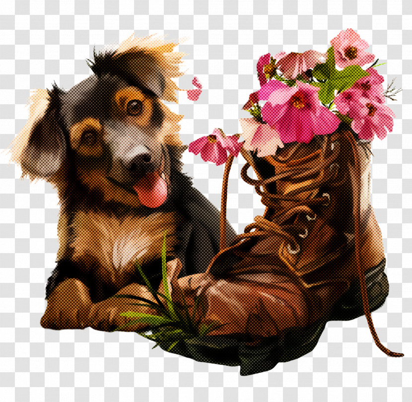 Dog Puppy Dachshund Sporting Group Companion Dog Transparent PNG
