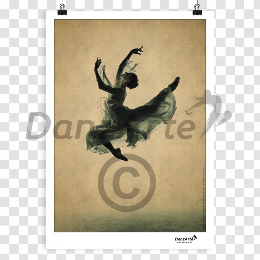 Ballet Dancer Classical Capezio - Flower - Cosmetics Posters Transparent PNG