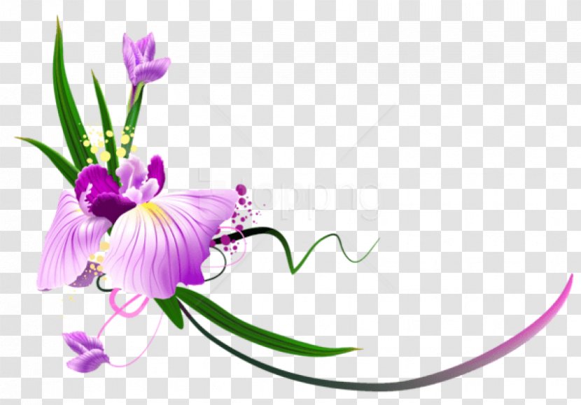 Floral Design Flower Clip Art - Cattleya Transparent PNG