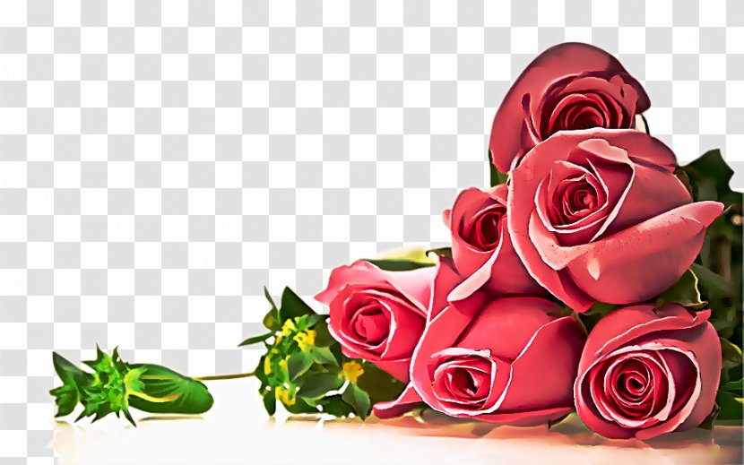 Garden Roses - Bouquet - Petal Transparent PNG