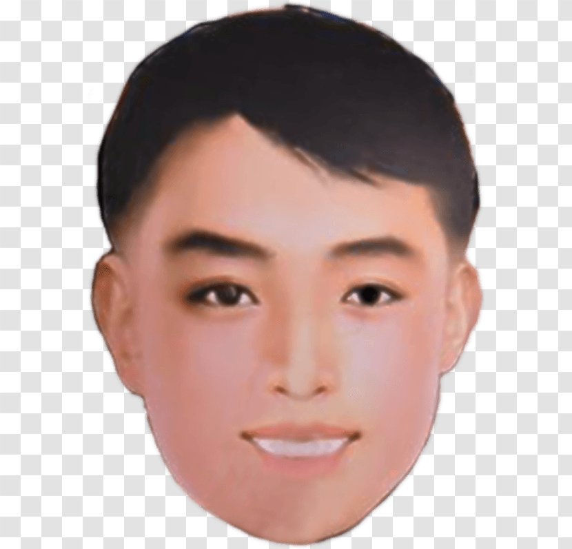 Kim Il-sung North Korea Juche South Writer - Jaw - Eyebrow Transparent PNG
