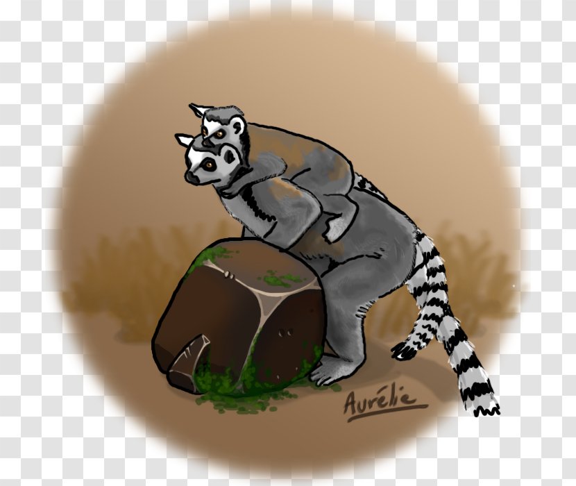 Raccoon Cat Tail Animated Cartoon - Procyonidae Transparent PNG