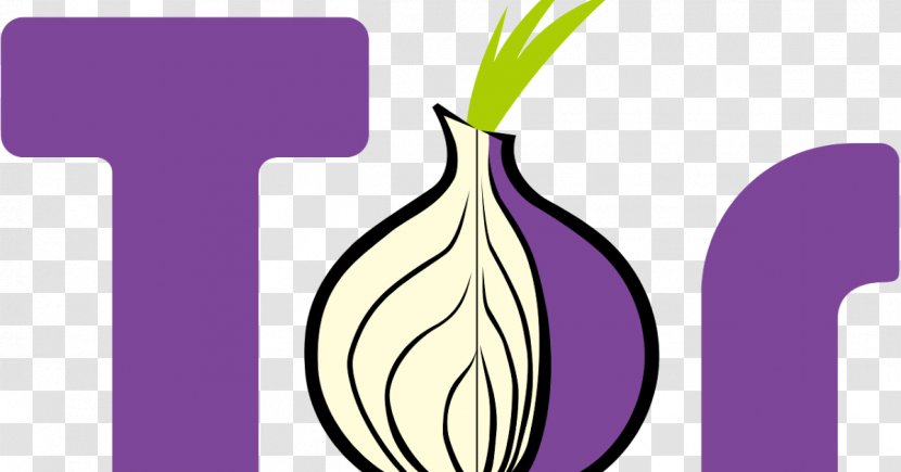 Tor Computer Network Anonymity Onion Routing IP Address - Polyline Transparent PNG