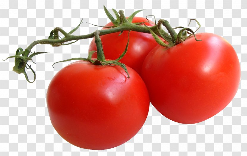 Chicago Botanic Garden Tomato Churrasco Vegetable Antioxidant - Natural Foods Transparent PNG