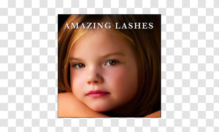 Eyelash Image Photography Eyebrow Cheek - Frame - Penciling Transparent PNG