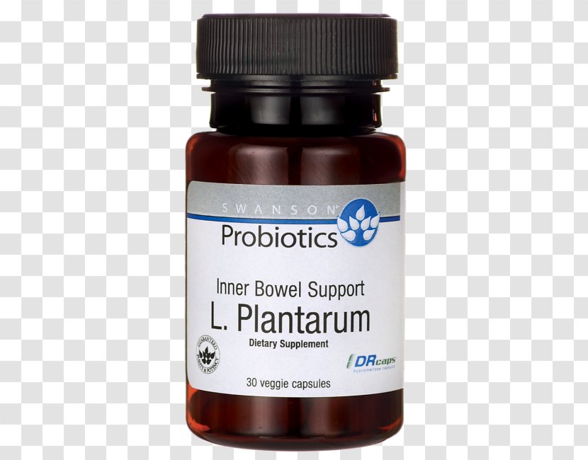 Dietary Supplement Lactobacillus Reuteri Probiotic Swanson Health Products Acidophilus - Liquid Transparent PNG