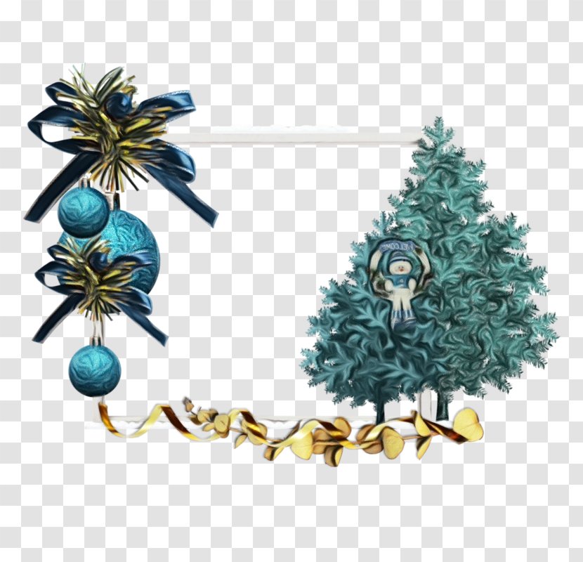 Christmas Tree Branch - Colorado Spruce - Cypress Family Transparent PNG